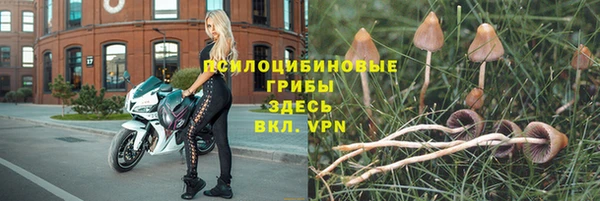 стафф Вязники